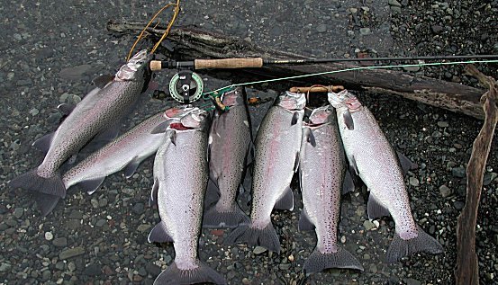 Trout with Almonds